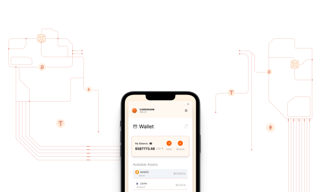 Introducing Africa’s First Hardware Wallet: Cardware Wallet – A New Era of Secure Digital Asset Storage
