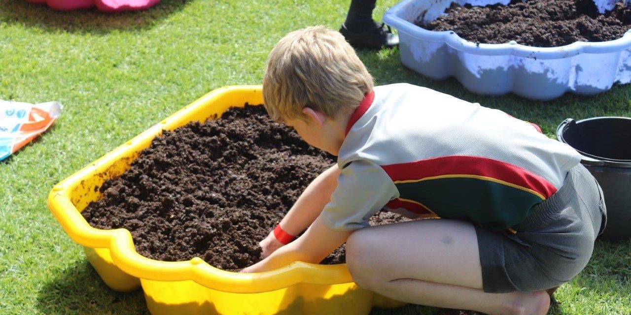 Clearwater Mall’s Cangro Challenge 2024: Cultivating Tomorrow’s Green Leaders, One Upside-Down Tomato at a Time