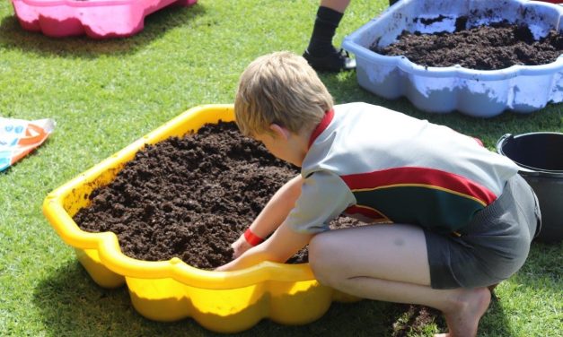 Clearwater Mall’s Cangro Challenge 2024: Cultivating Tomorrow’s Green Leaders, One Upside-Down Tomato at a Time