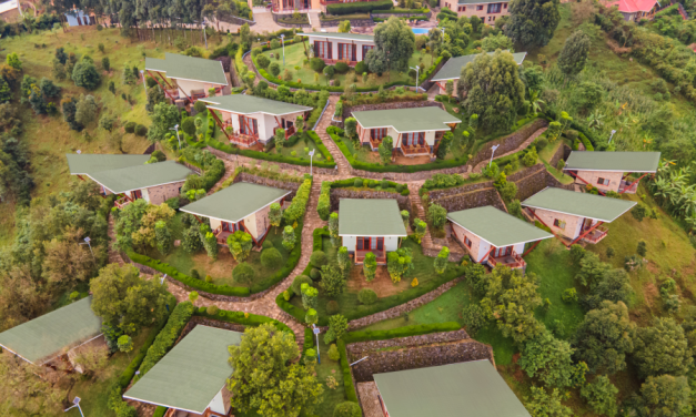 Newmark Hotels & Reserves expands portfolio with re-entry into gorilla trekking market, in Bwindi Impenetrable National Park