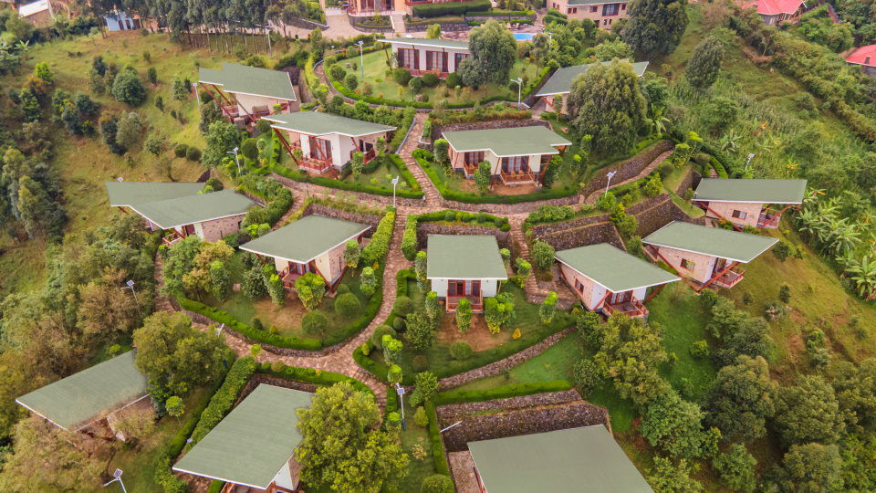 Newmark Hotels & Reserves expands portfolio with re-entry into gorilla trekking market, in Bwindi Impenetrable National Park